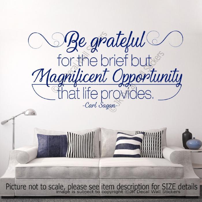 Be grateful - Carl Sagan Inspirational quotes stickers for walls Removable vinyl wall decals
