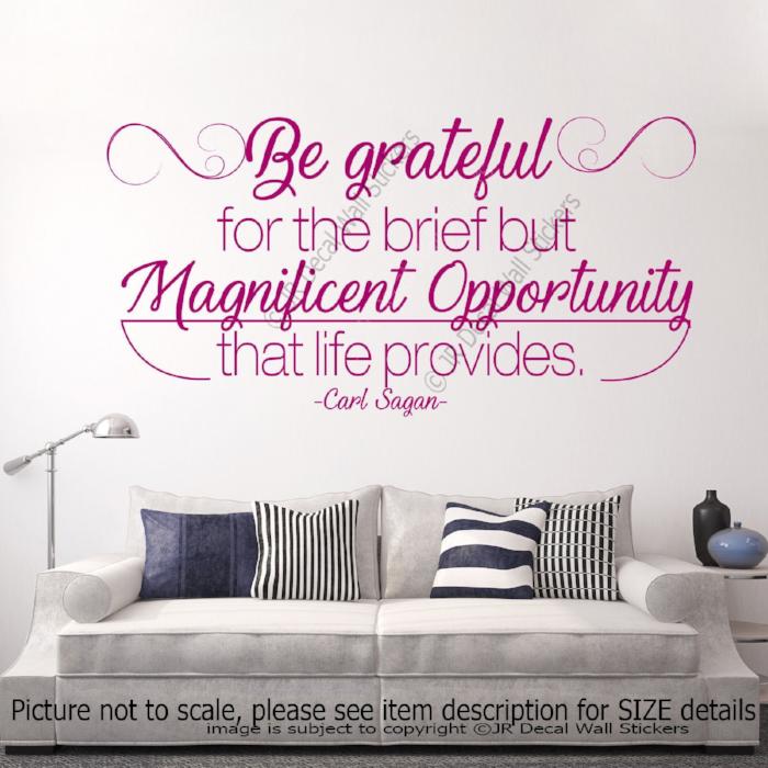 Be grateful - Carl Sagan Inspirational quotes stickers for walls Removable vinyl wall decals