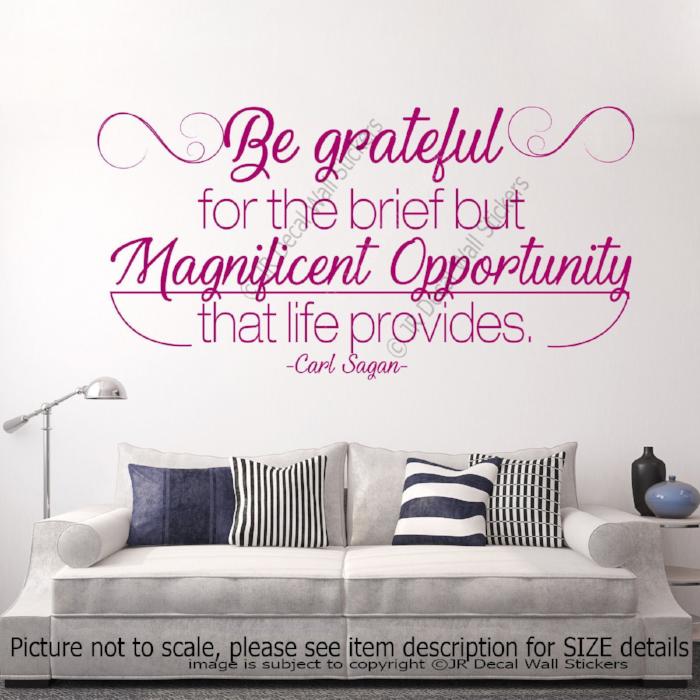 "Be grateful" Carl Sagan Inspirational quotes stickers for walls Removable vinyl wall decals